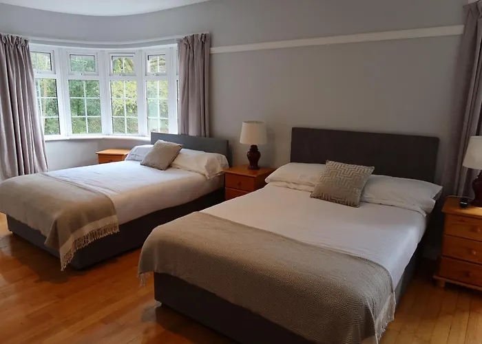 住宿加早餐酒店 Woodville 弗萨