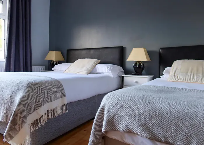 Woodville 住宿加早餐酒店 弗萨