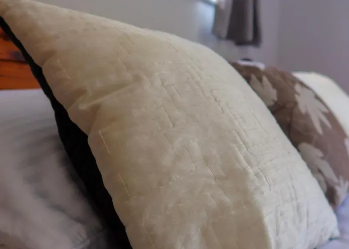 住宿加早餐酒店 Woodville 弗萨